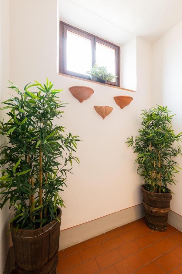 Fiesole'S Cozy Apartment 2 외부 사진